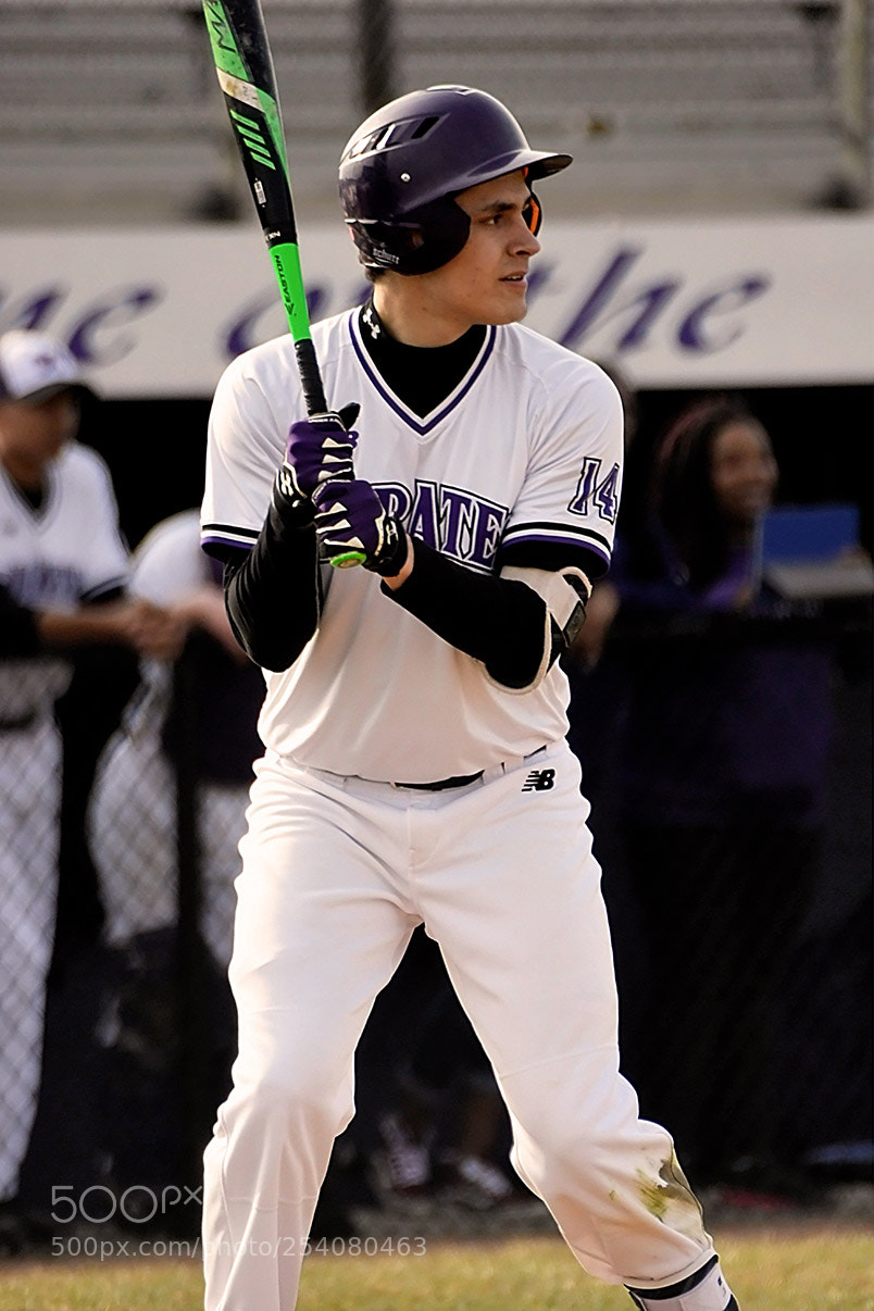 Nikon D500 sample photo. Baseball photography