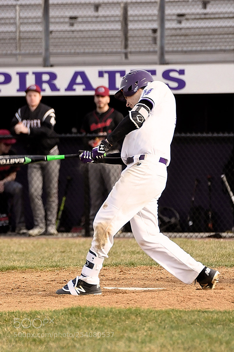 Nikon D500 sample photo. Baseball photography