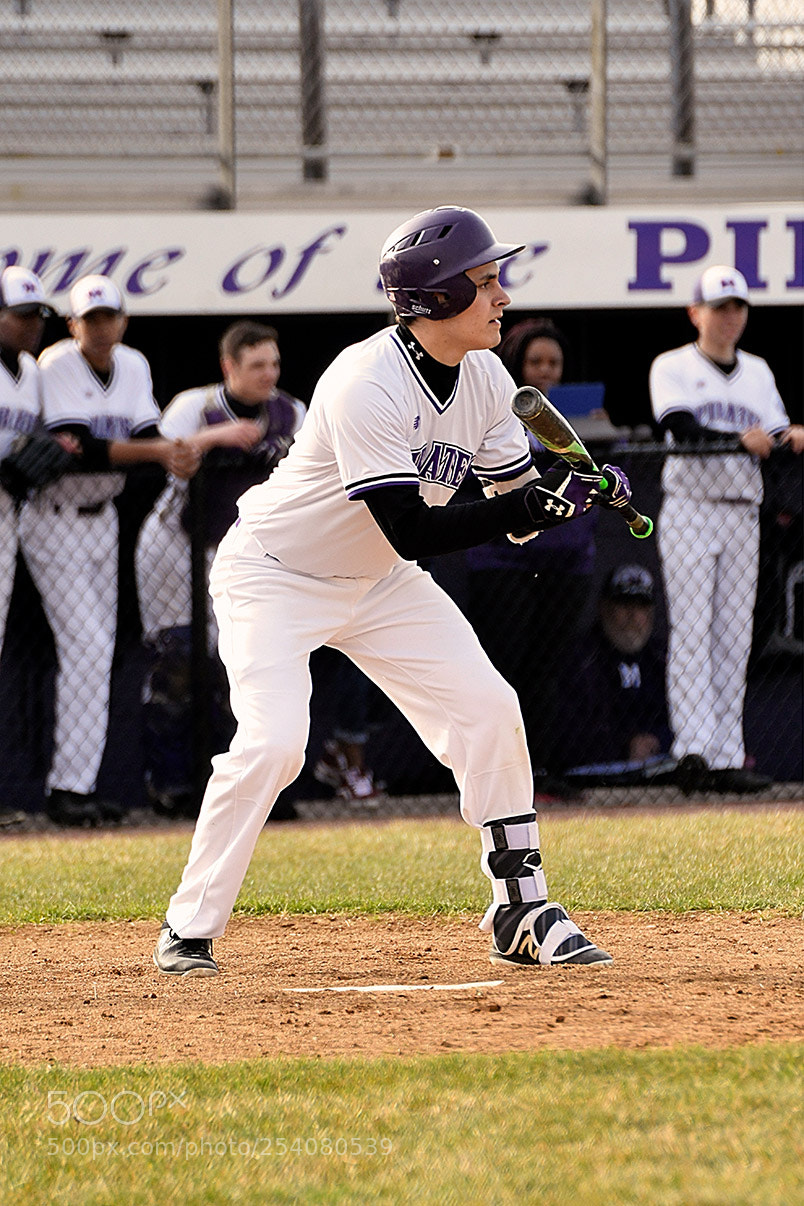 Nikon D500 sample photo. Baseball photography