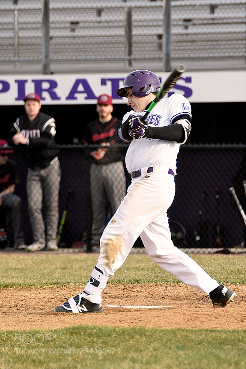 Nikon D500 sample photo. Baseball photography