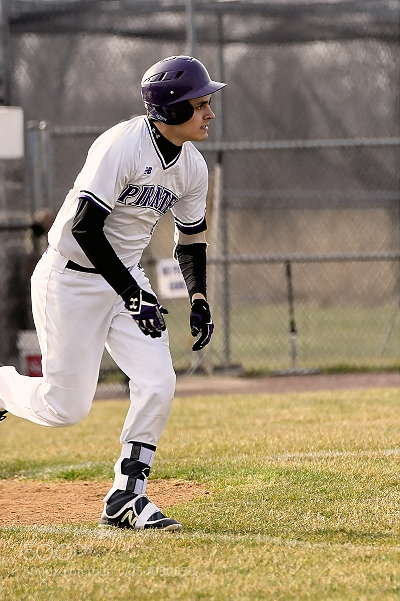 Nikon D500 sample photo. Baseball photography