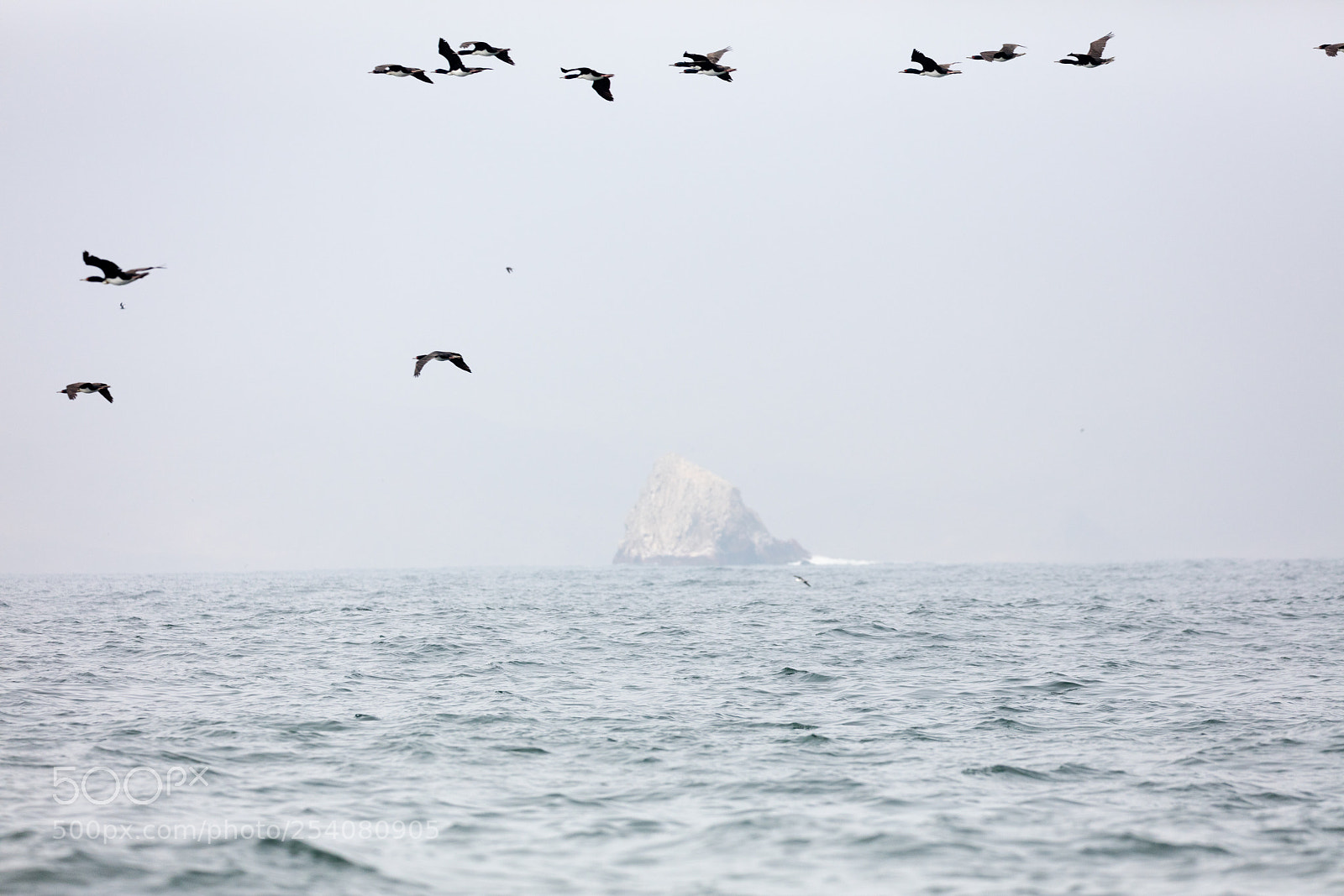 Canon EOS 5DS R sample photo. Ballestas islands, peru photography