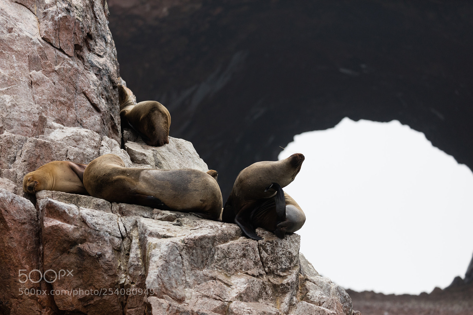 Canon EOS 5DS R sample photo. Ballestas islands, perù photography