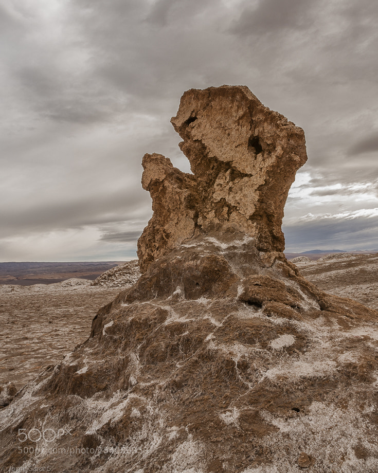 Nikon D700 sample photo. San pedro de atacama photography