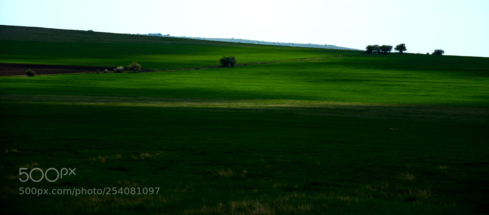 Nikon D7200 sample photo. Spring is green dragoman photography