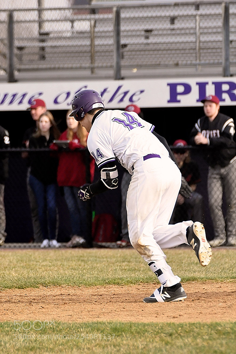 Nikon D500 sample photo. Baseball photography