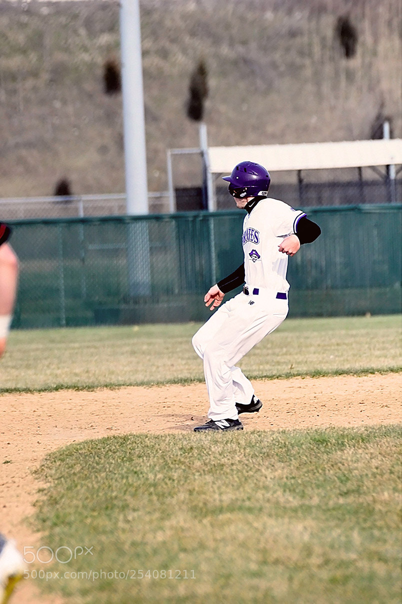 Nikon D500 sample photo. Baseball photography