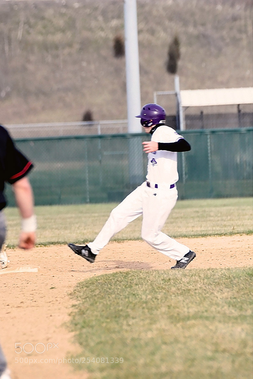 Nikon D500 sample photo. Baseball photography