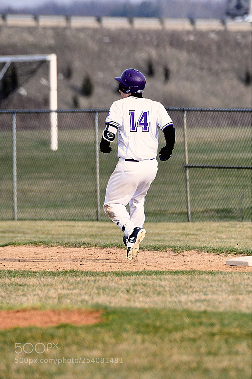 Nikon D500 sample photo. Baseball photography