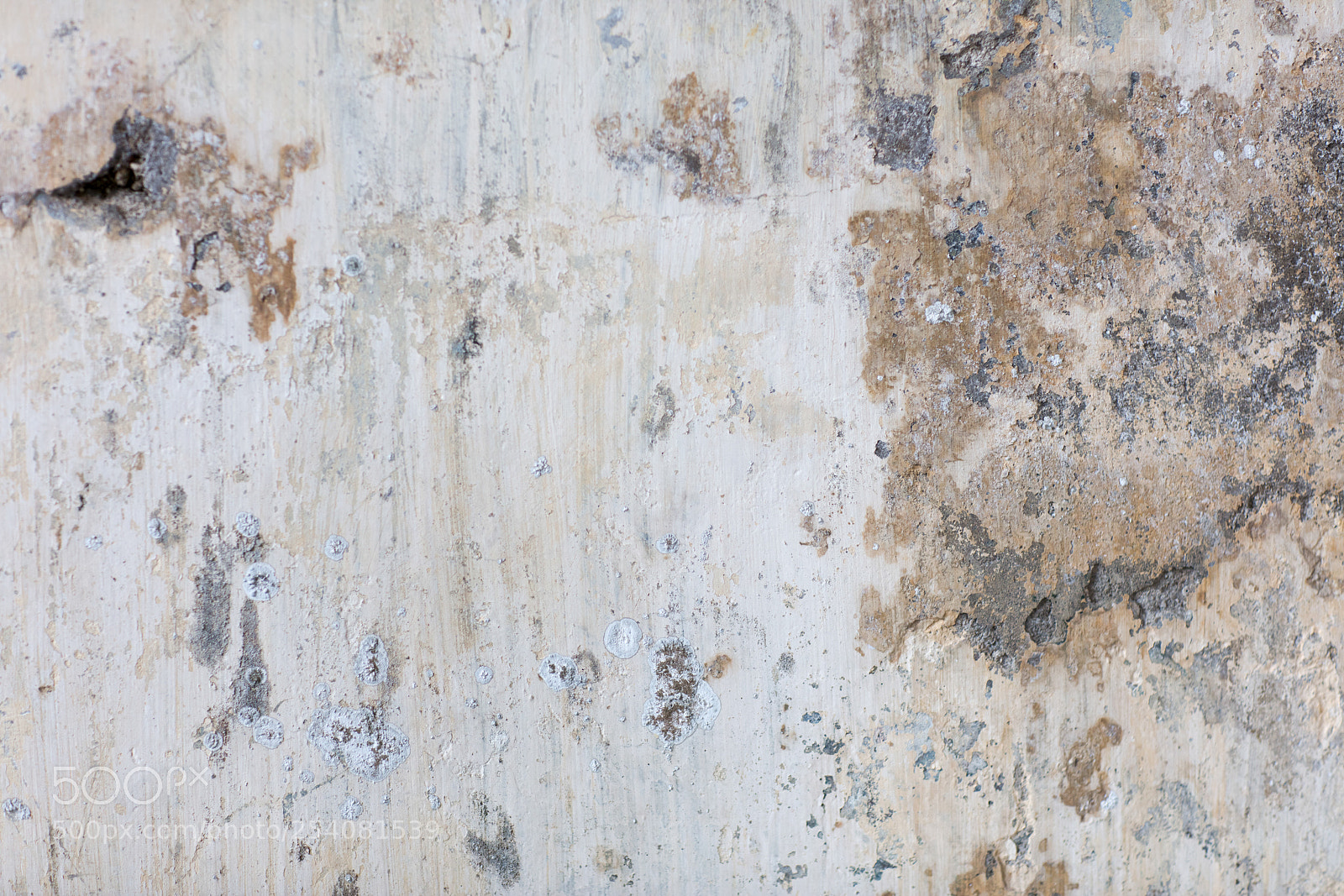 Canon EOS 5DS R sample photo. Old wall texture photography