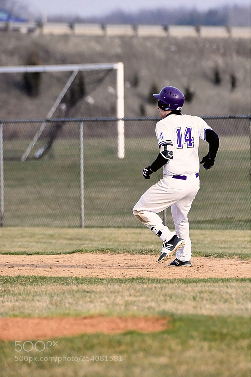 Nikon D500 sample photo. Baseball photography