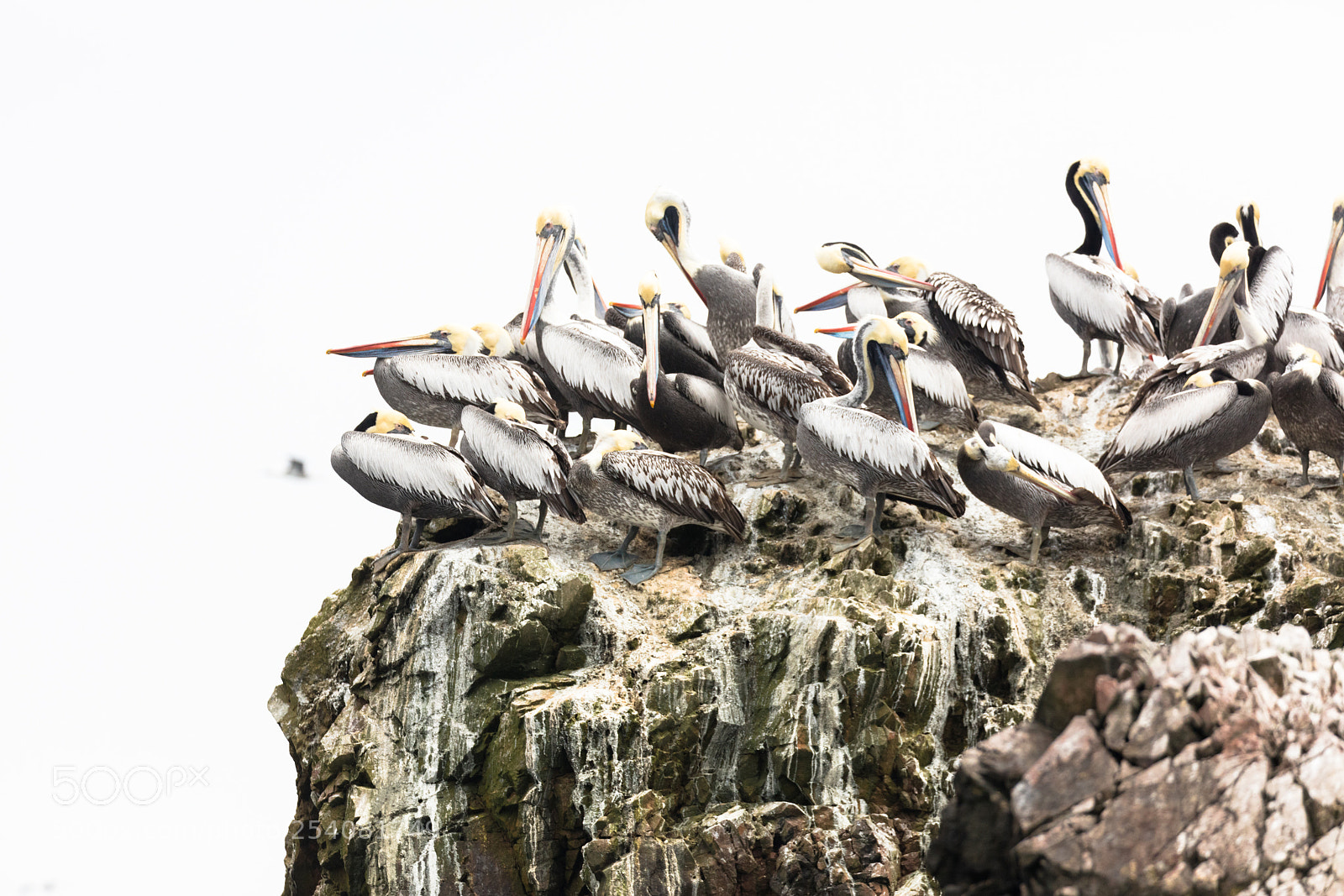 Canon EOS 5DS R sample photo. Ballestas islands, perù photography