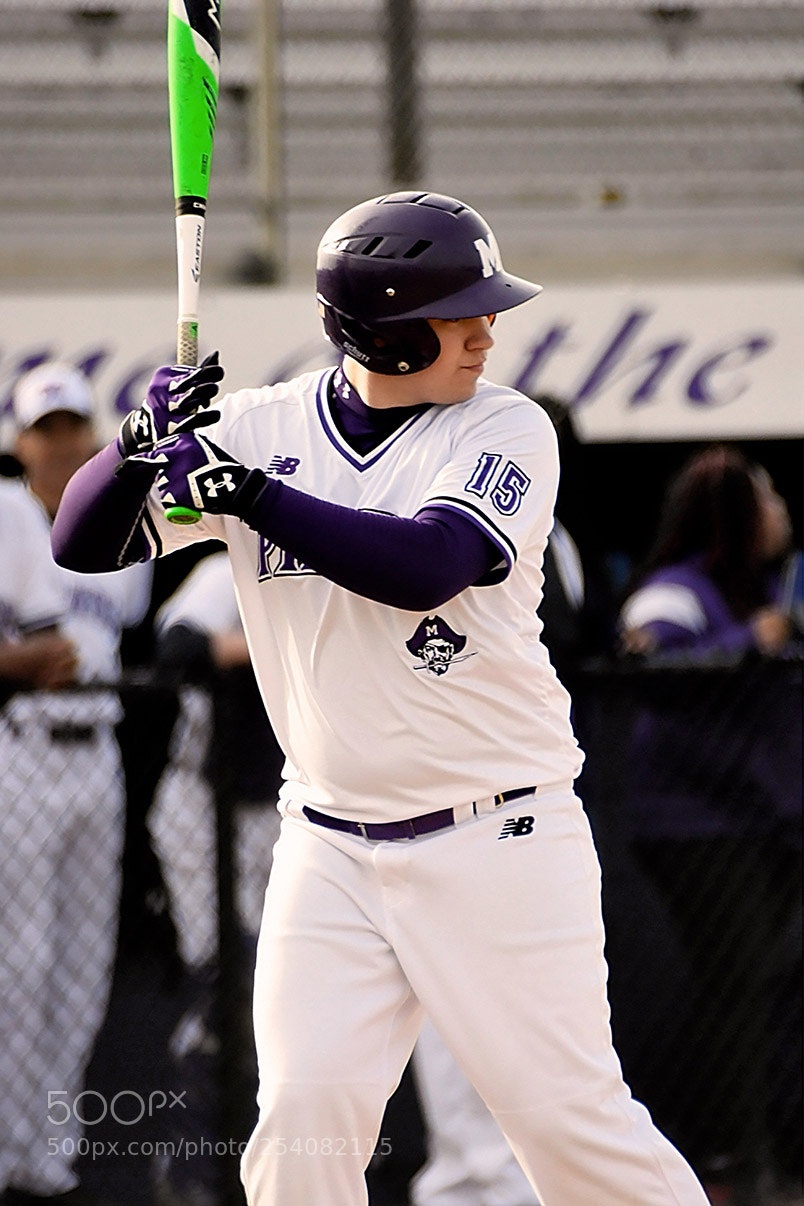 Nikon D500 sample photo. Baseball photography