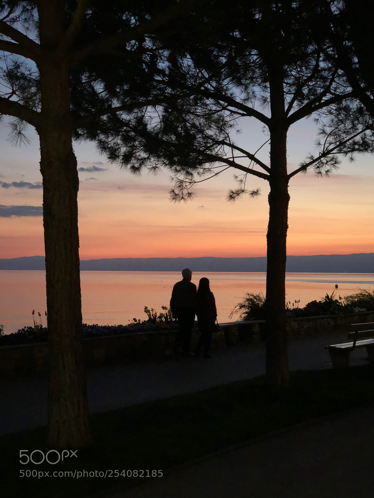 Apple iPhone X sample photo. Lovers in the dark
 photography