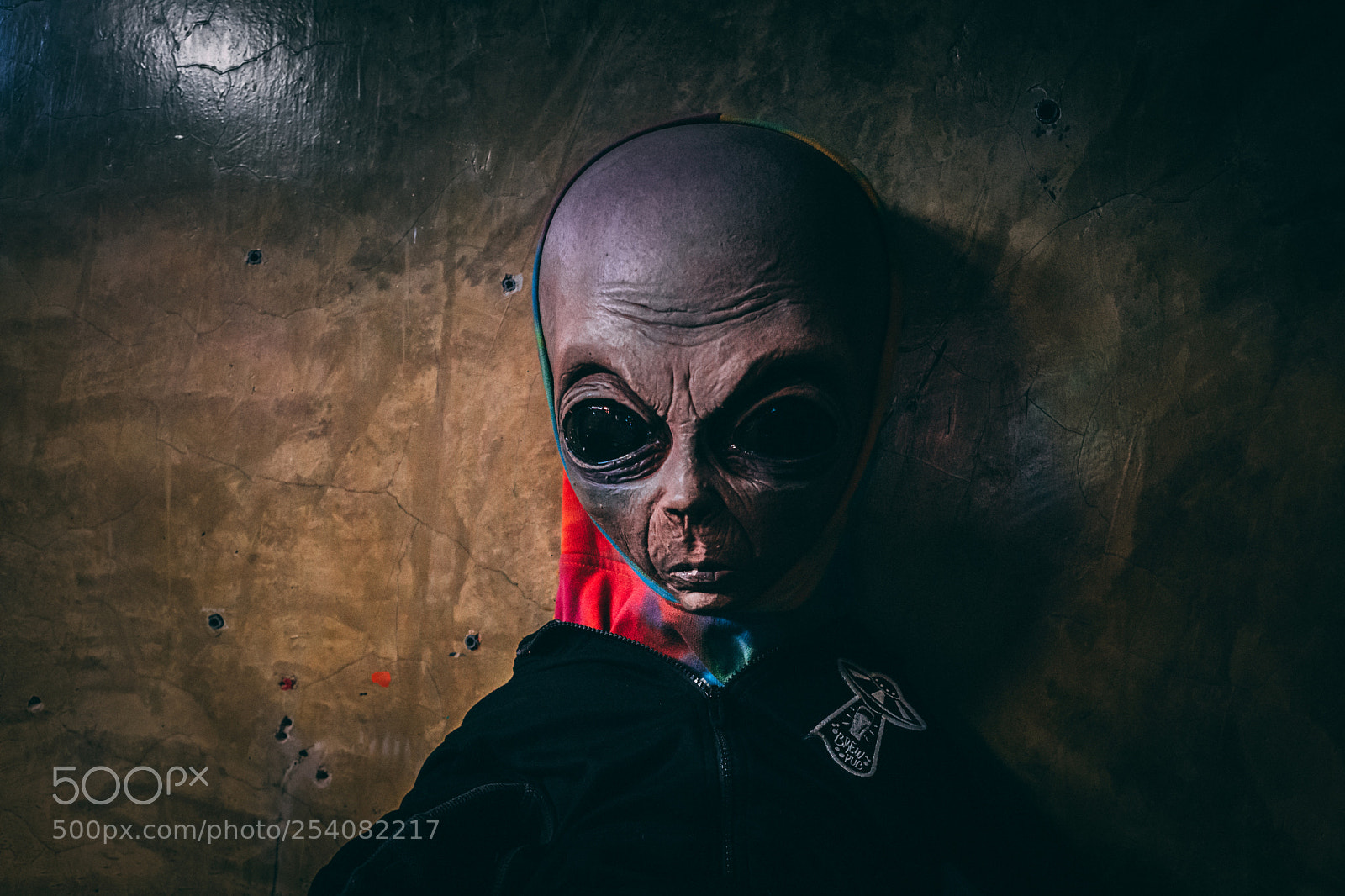 Sony a6000 sample photo. Illegal alien 2 photography