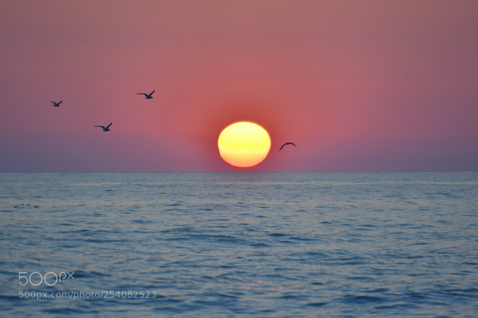 Nikon D5300 sample photo. Закат над Черным морем photography