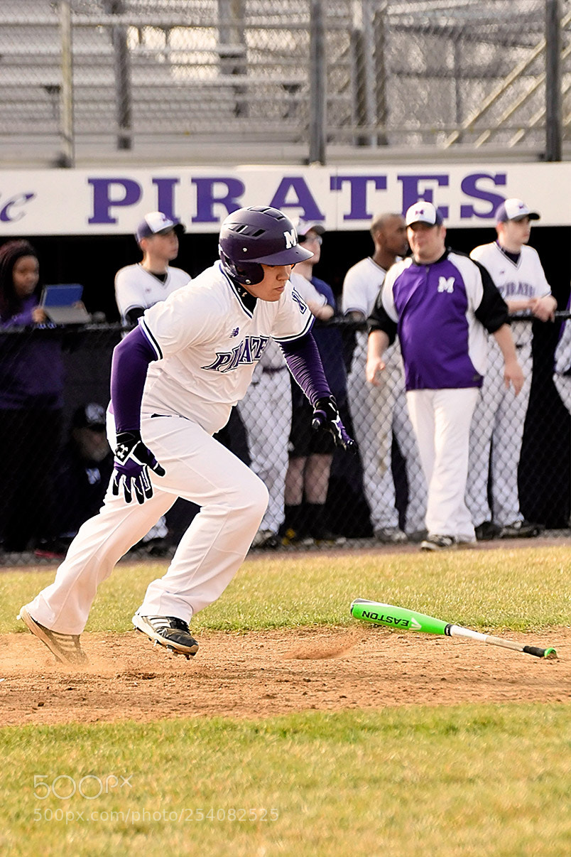 Nikon D500 sample photo. Baseball photography