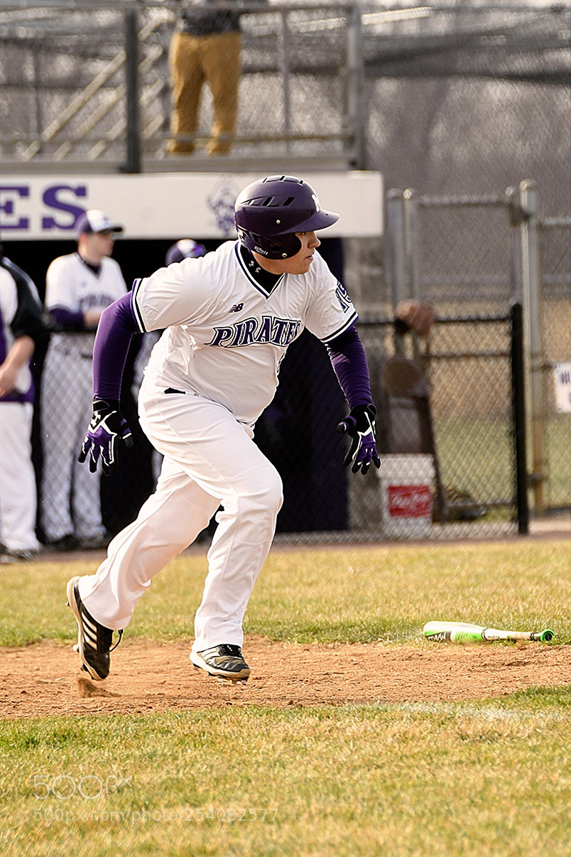 Nikon D500 sample photo. Baseball photography