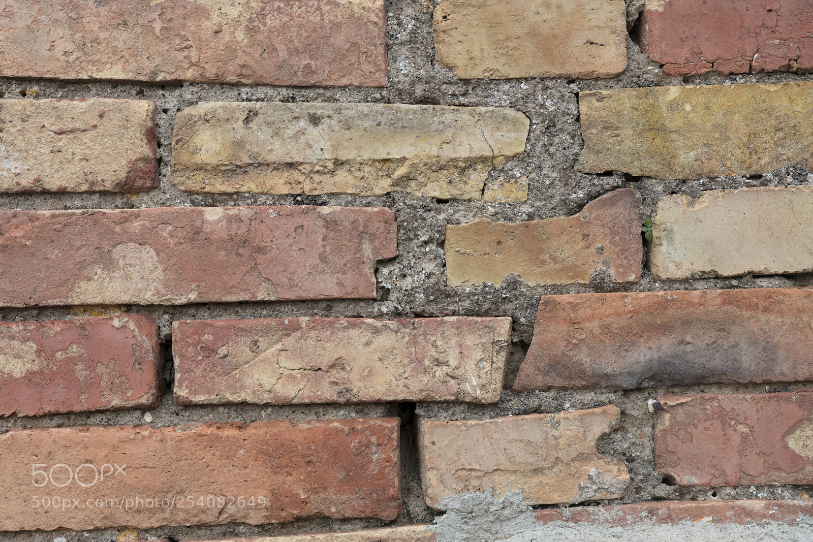 Canon EOS 5DS R sample photo. Old wall texture photography