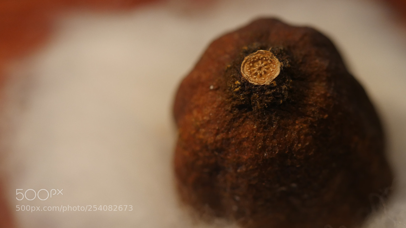 Panasonic Lumix DMC-GH4 sample photo. Mandala seed core photography