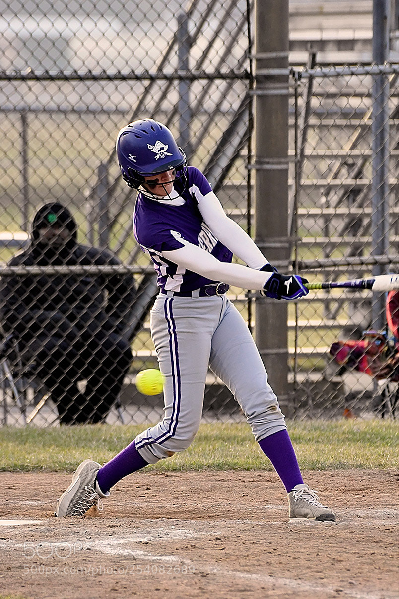 Nikon D500 sample photo. Softball photography