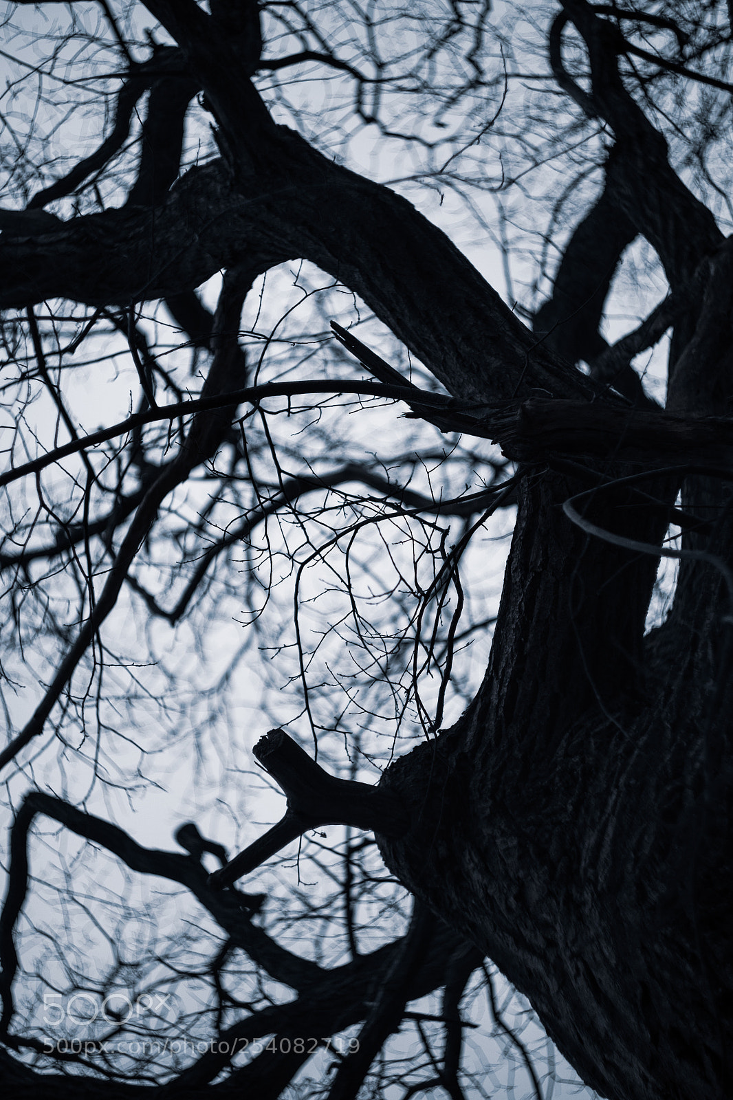 Fujifilm X-T1 sample photo. Power photography