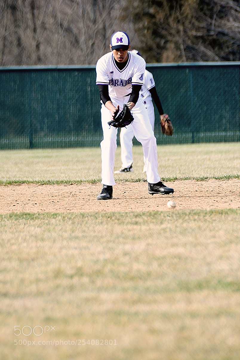 Nikon D500 sample photo. Baseball photography