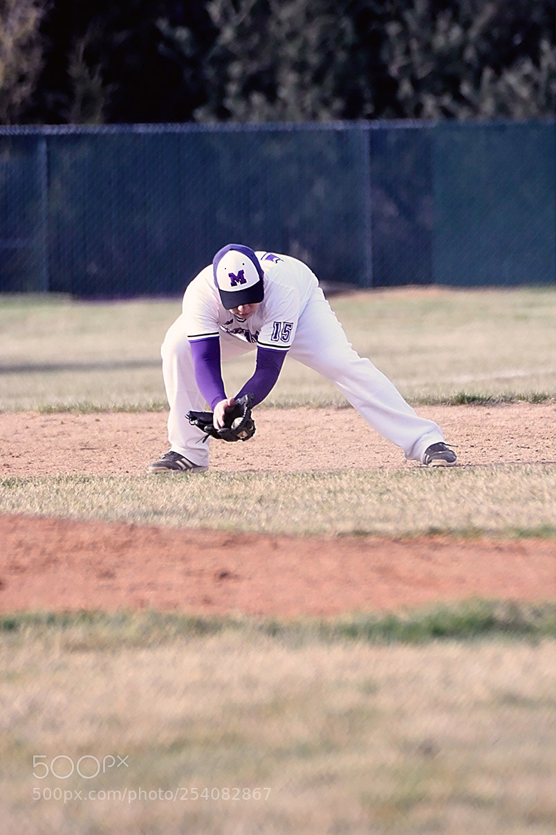 Nikon D500 sample photo. Baseball photography