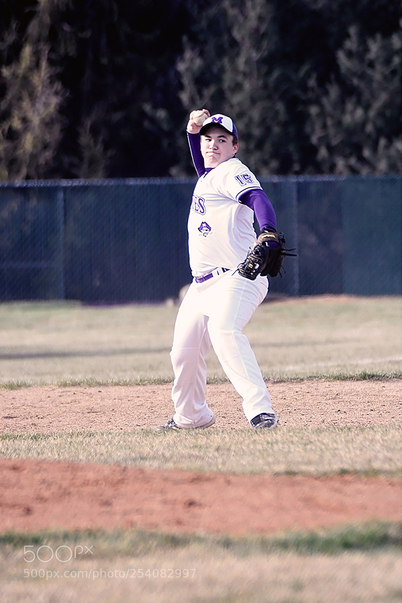 Nikon D500 sample photo. Baseball photography
