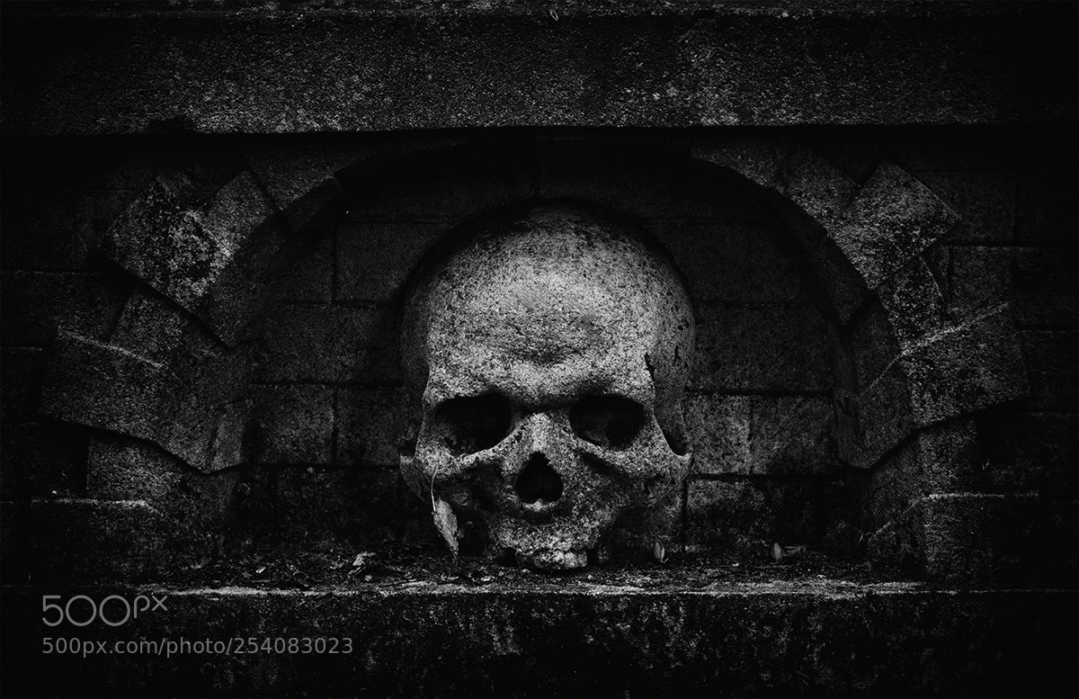 Sony Alpha NEX-6 sample photo. Even in death photography