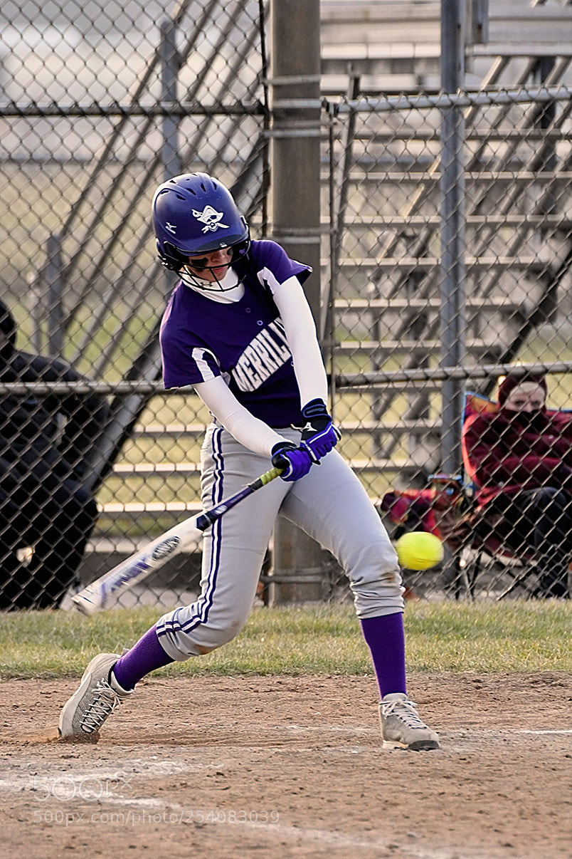 Nikon D500 sample photo. Softball photography