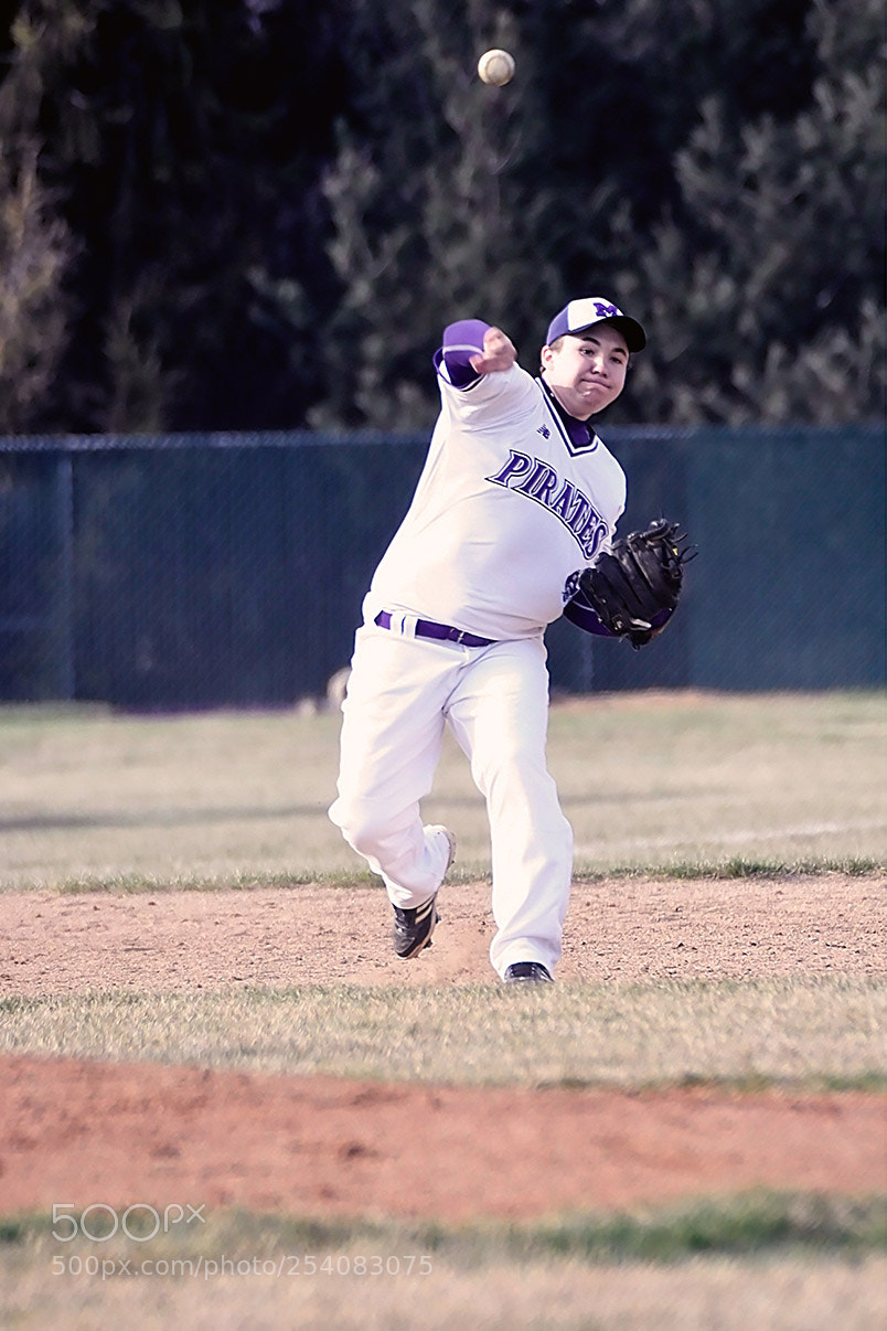 Nikon D500 sample photo. Baseball photography