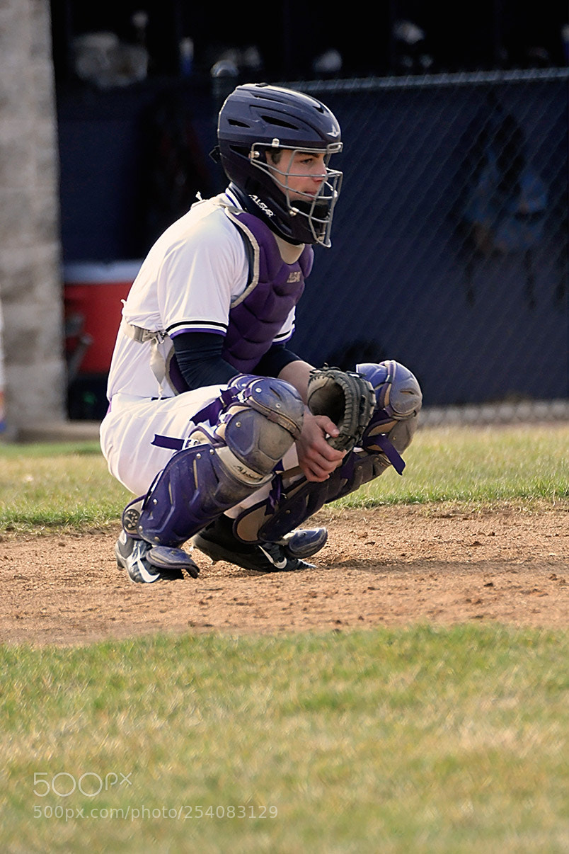 Nikon D500 sample photo. Baseball photography