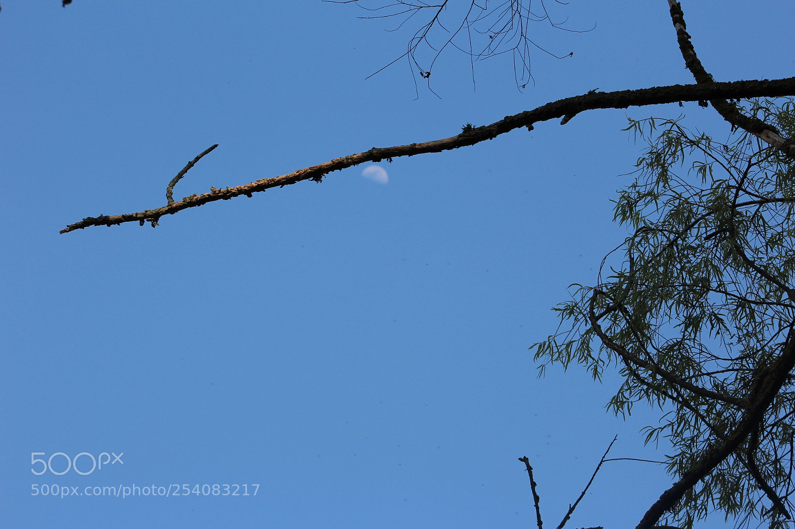 Canon EF 75-300mm f/4-5.6 sample photo. Sabana de bogotá photography