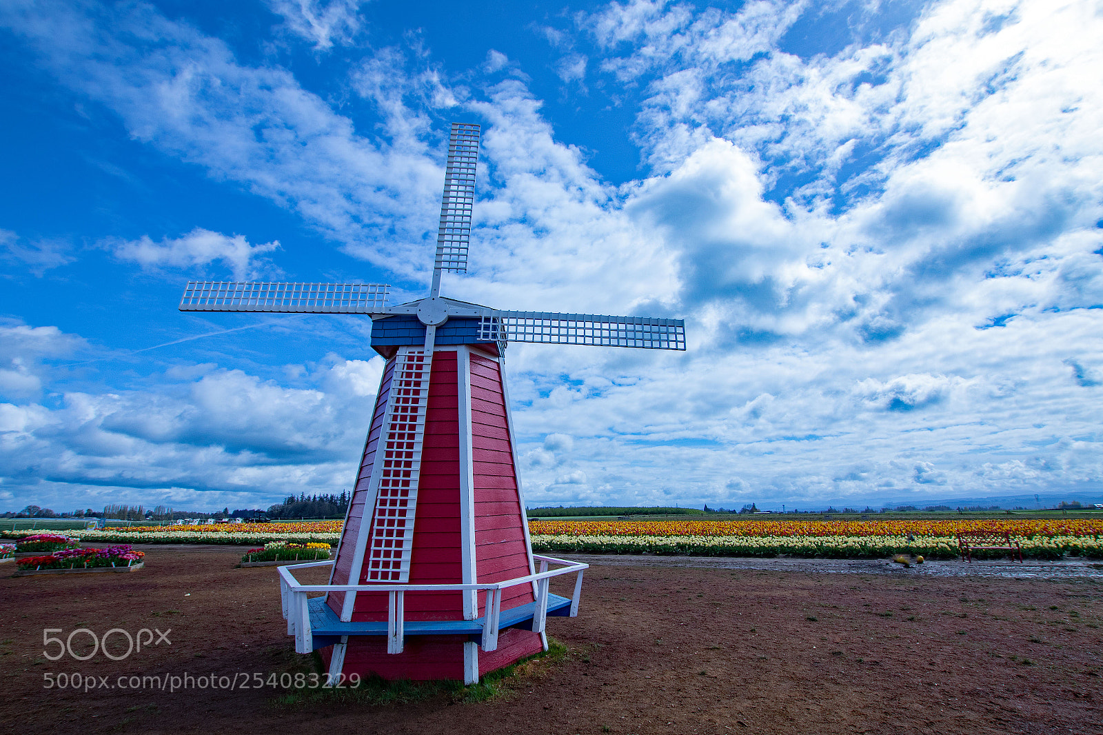 Canon EOS 7D Mark II sample photo. Solo windmill photography