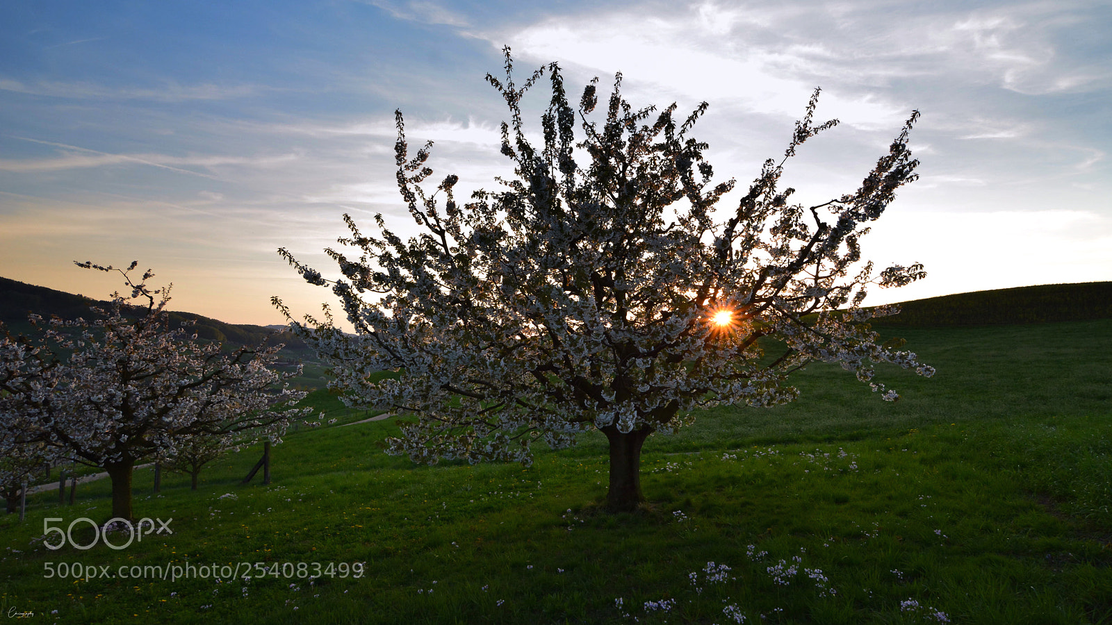 Nikon D7100 sample photo. Arisdorf am abend photography