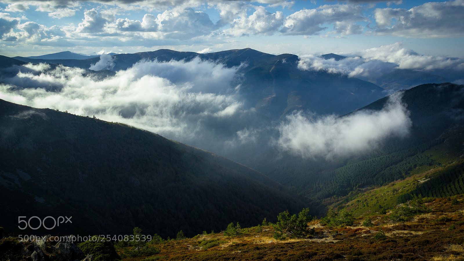 Canon EOS 550D (EOS Rebel T2i / EOS Kiss X4) sample photo. Over the clouds photography