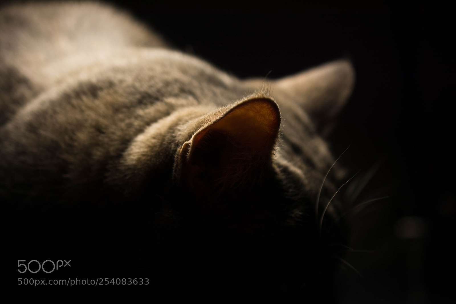 Nikon D7100 sample photo. Untitled photography