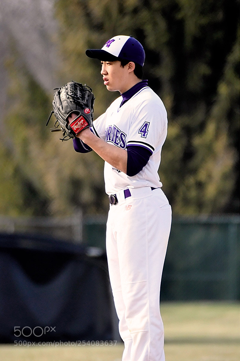 Nikon D500 sample photo. Baseball photography