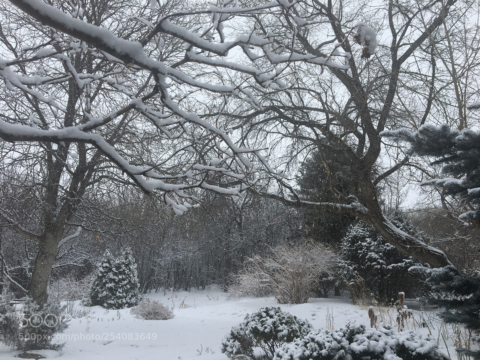 Apple iPhone 6s sample photo. Winter  photography