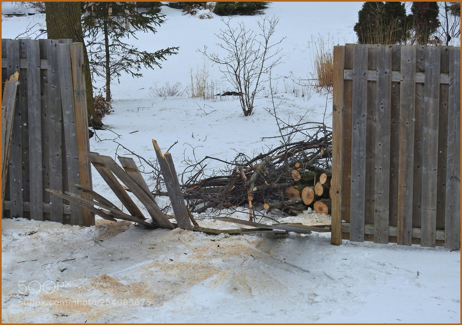 Nikon Coolpix P900 sample photo. Ice storm clean up photography