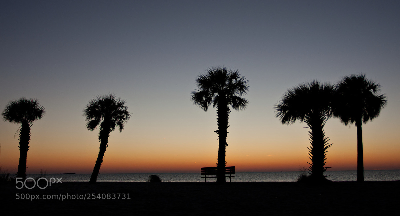 Canon EOS 40D sample photo. Tarpon springs photography