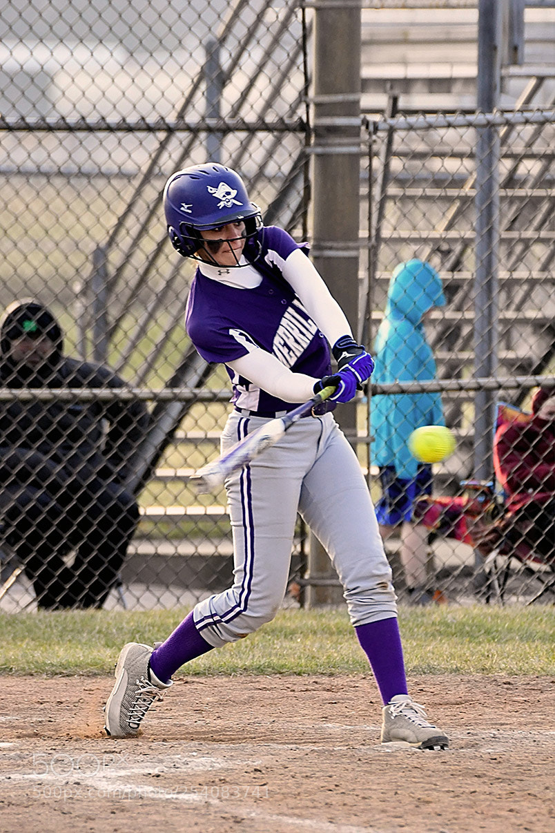 Nikon D500 sample photo. Softball photography
