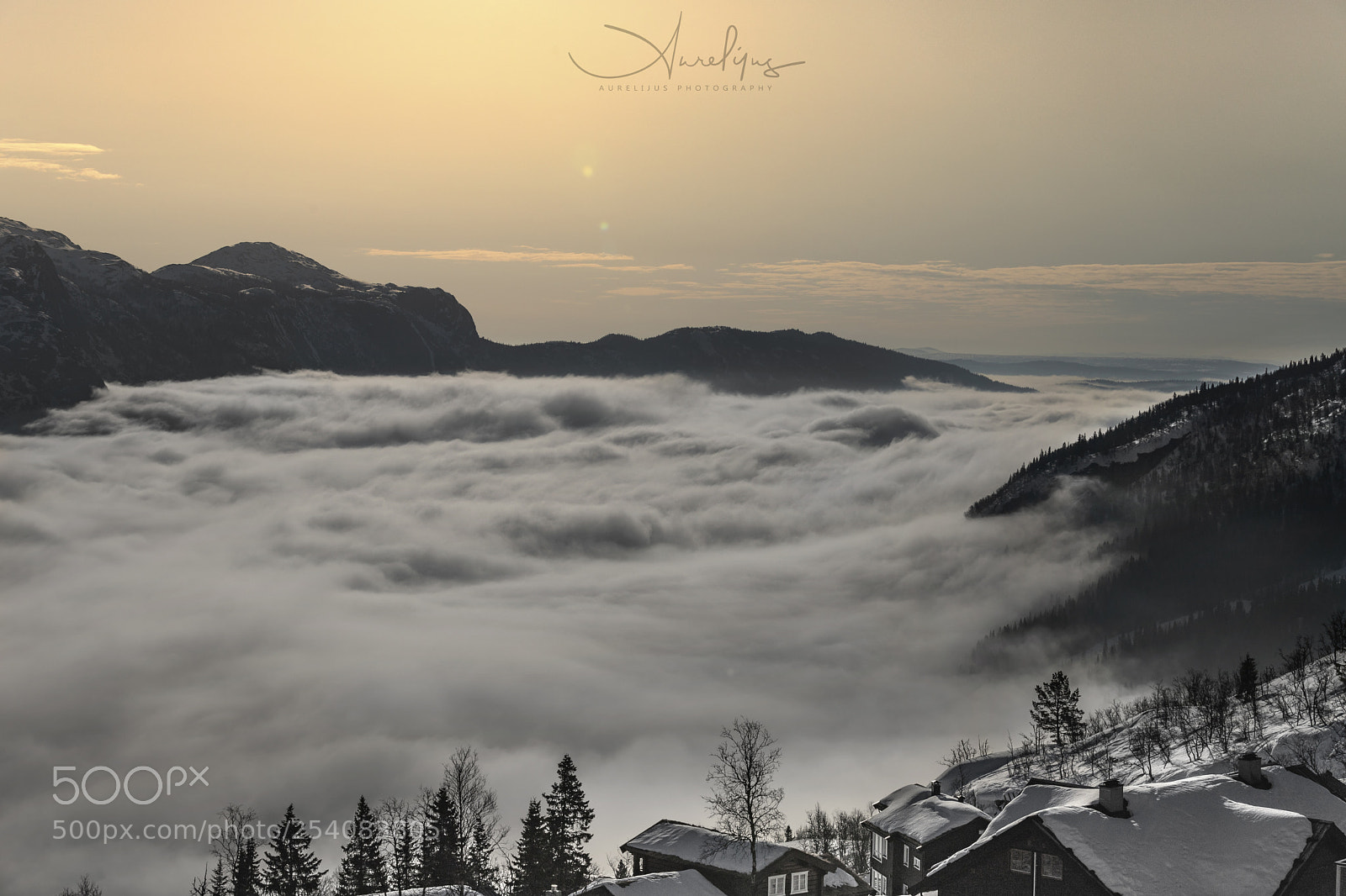 Canon EOS 6D Mark II sample photo. The morning photography