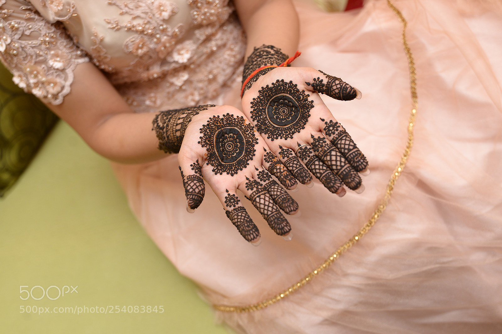 Nikon D610 sample photo. Vandana on her mehendi photography