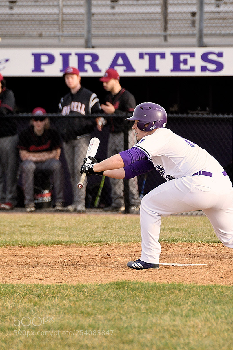Nikon D500 sample photo. Baseball photography