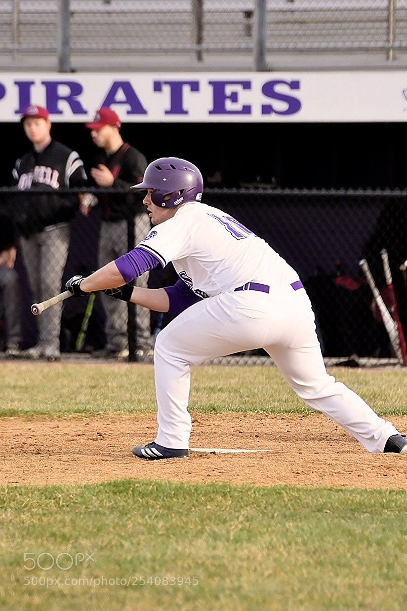 Nikon D500 sample photo. Baseball photography
