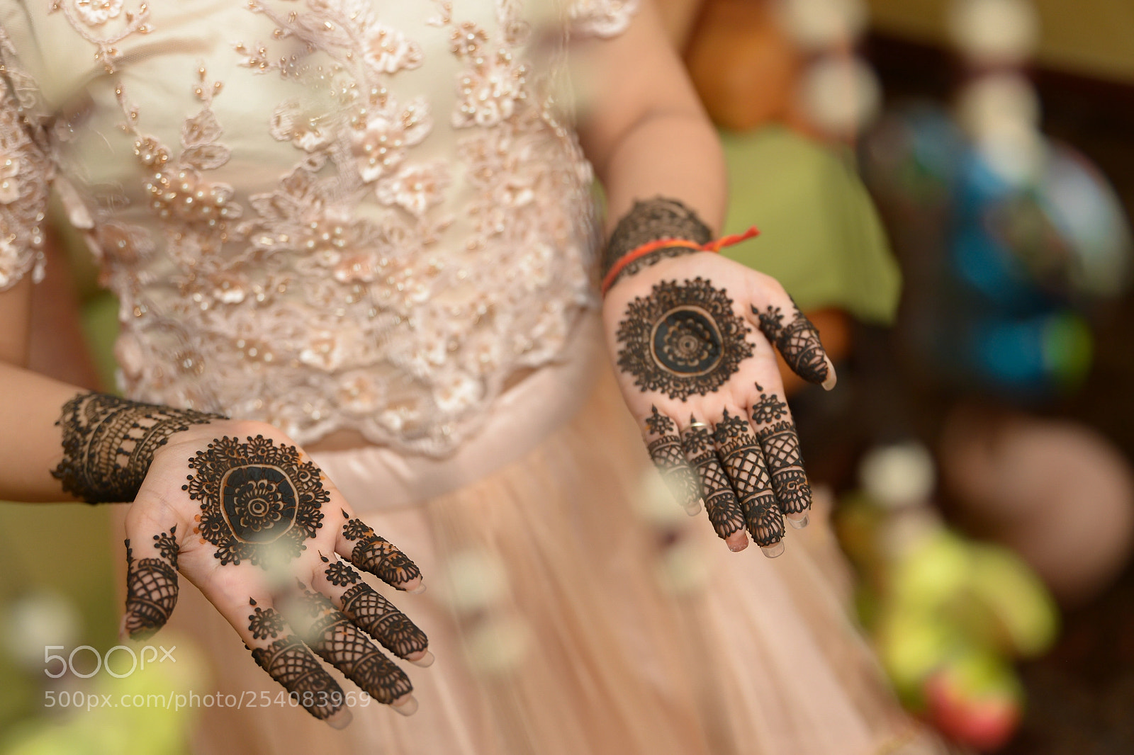 Nikon D610 sample photo. Vandana on her mehendi photography