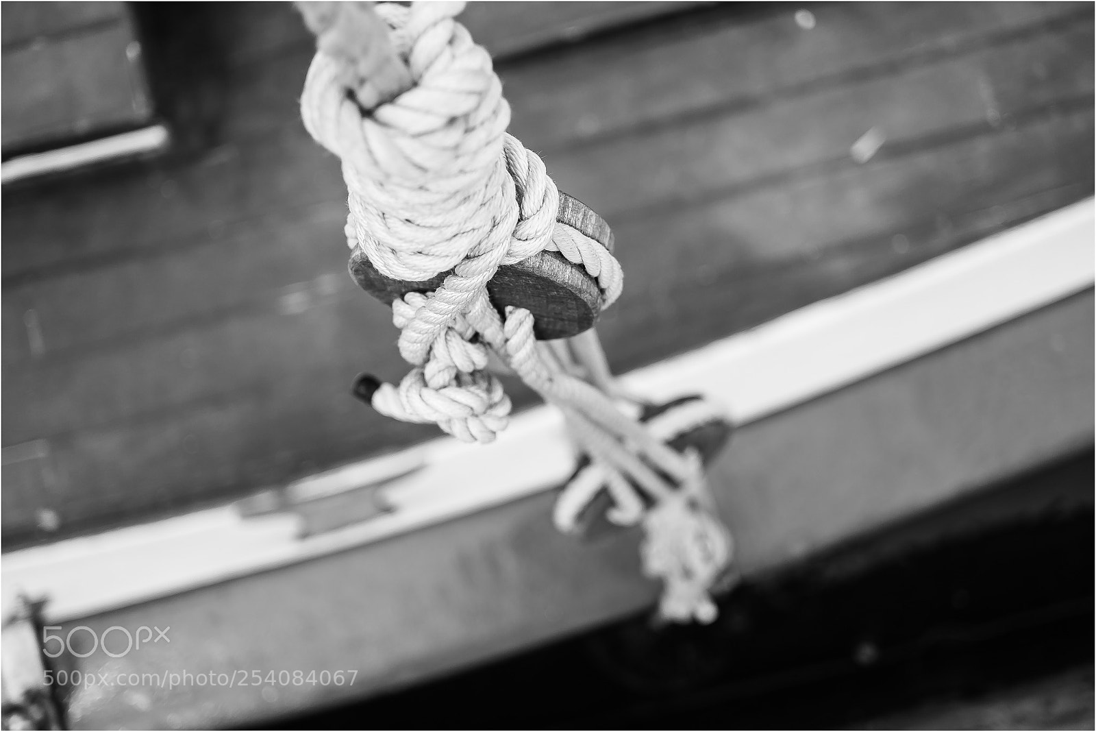 Fujifilm X-T1 sample photo. Untitled photography