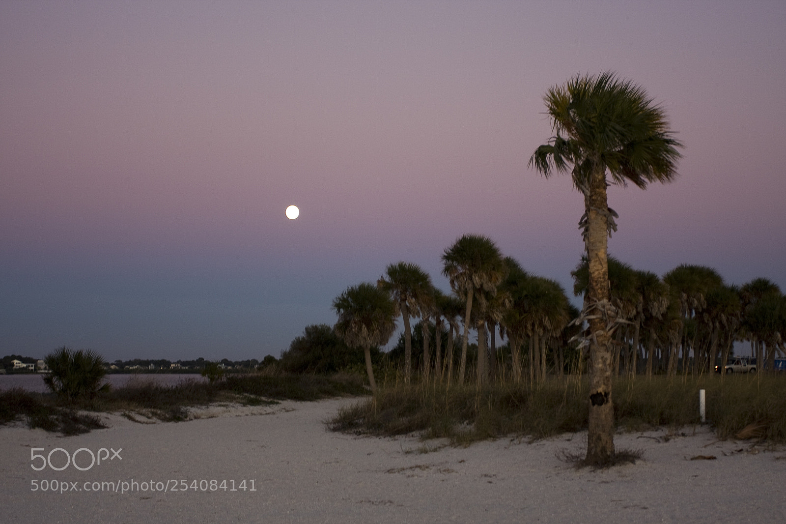 Canon EOS 40D sample photo. Tarpon springs 2 photography